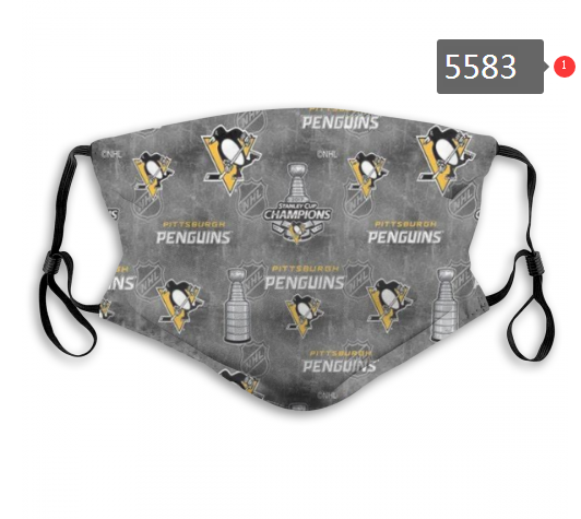 2020 NHL Pittsburgh Penguins #2 Dust mask with filter